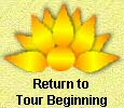 Return to Beginning