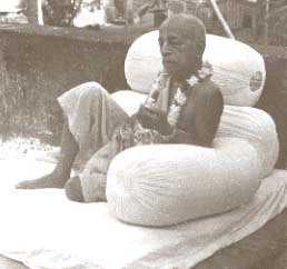 Prabhupada_sitting.jpg - 9671 Bytes