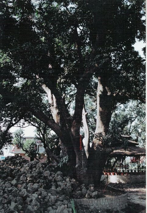 n02.jpg