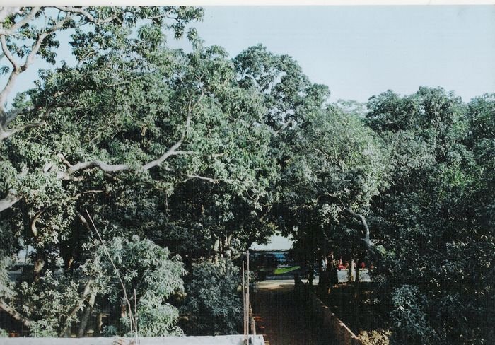 n12.jpg